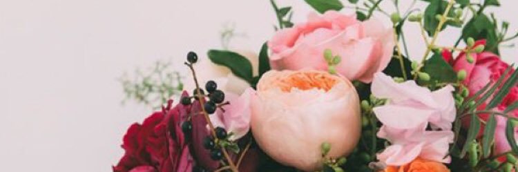 madewithcoco's profile banner image