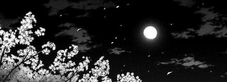 brooklunaaa81's profile banner image