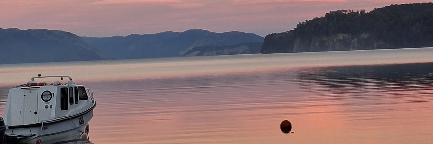 braiantellog's profile banner image