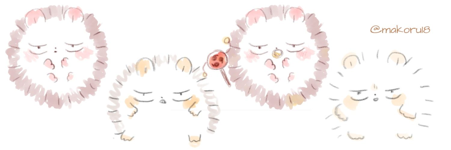 makoru18's profile banner image