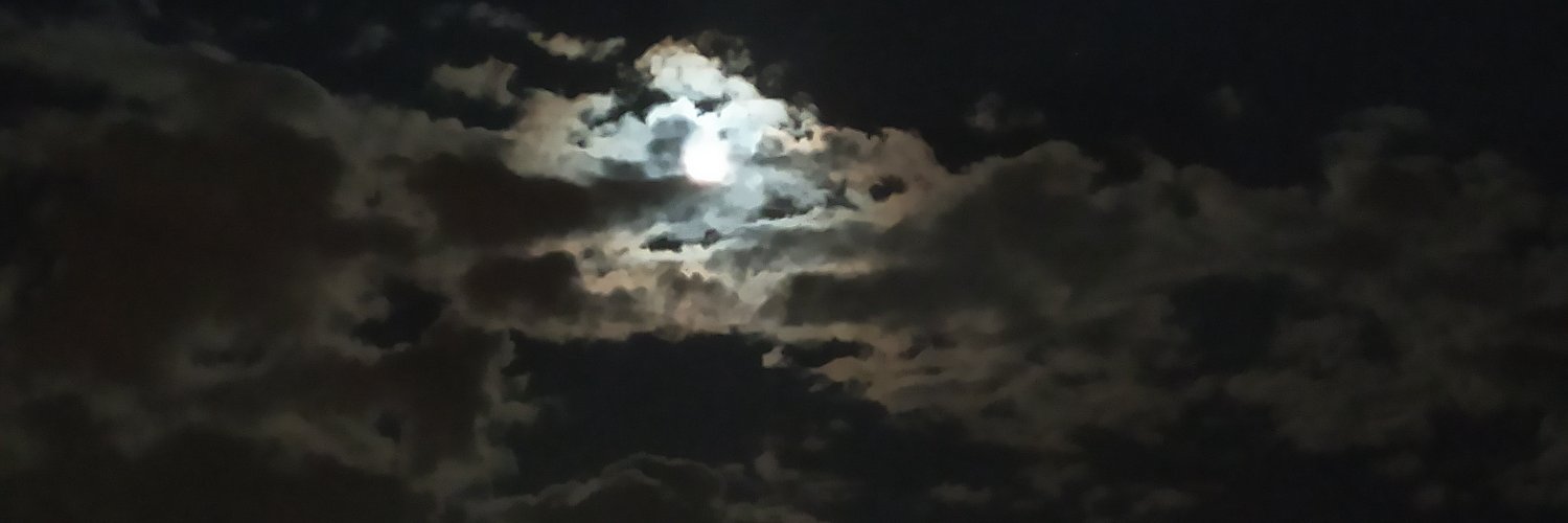 cielosaba's profile banner image