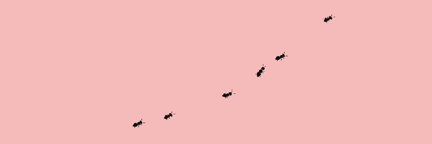 ant 🌻✨🐜 banner