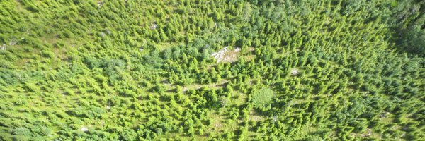 SmartForest_SFI Profile Banner
