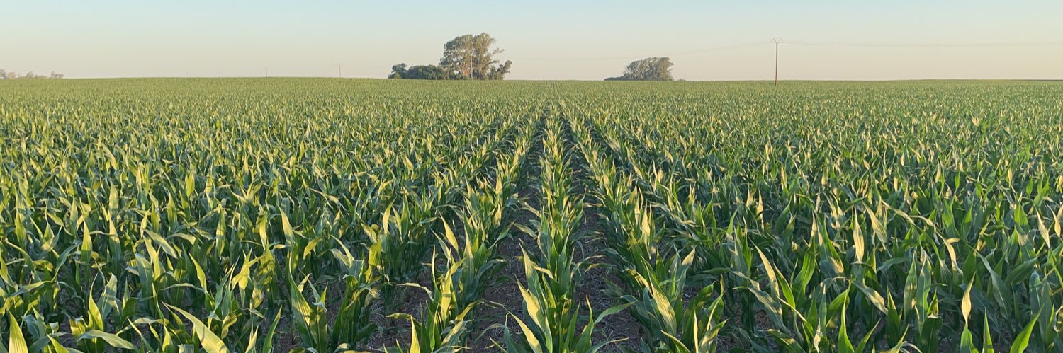 Franco Permingeat banner