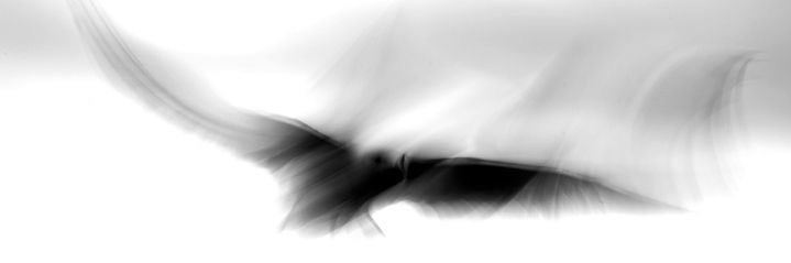 rie banner
