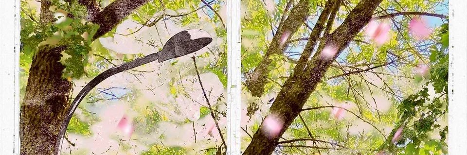 현배 박 banner