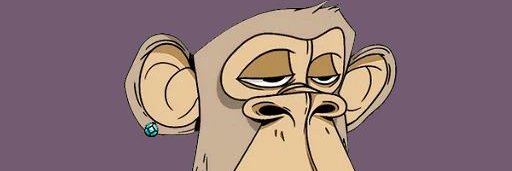 nesy_ardi's profile banner image