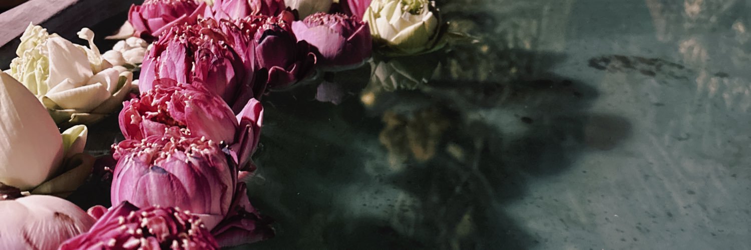 ᴍᴇᴍᴍᴏ *ﾟ⁠+ banner