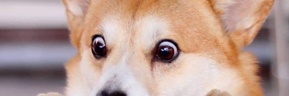 Polar_PSM's profile banner image