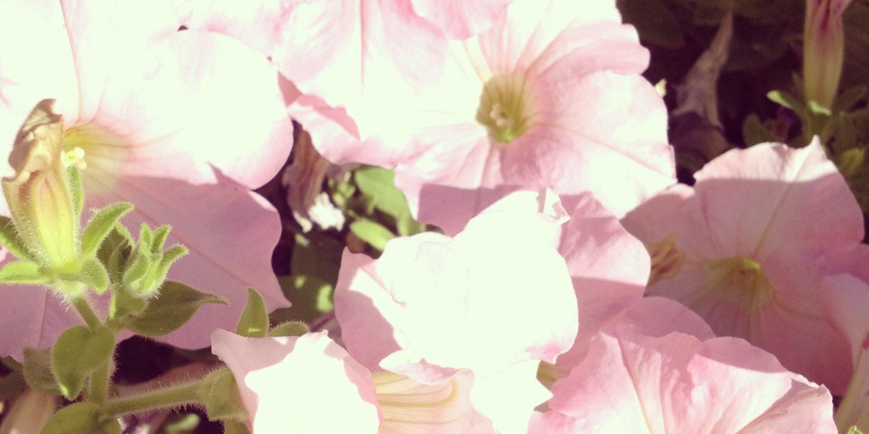 EmmaJean_4444's profile banner image