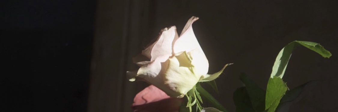 noblerose___n's profile banner image