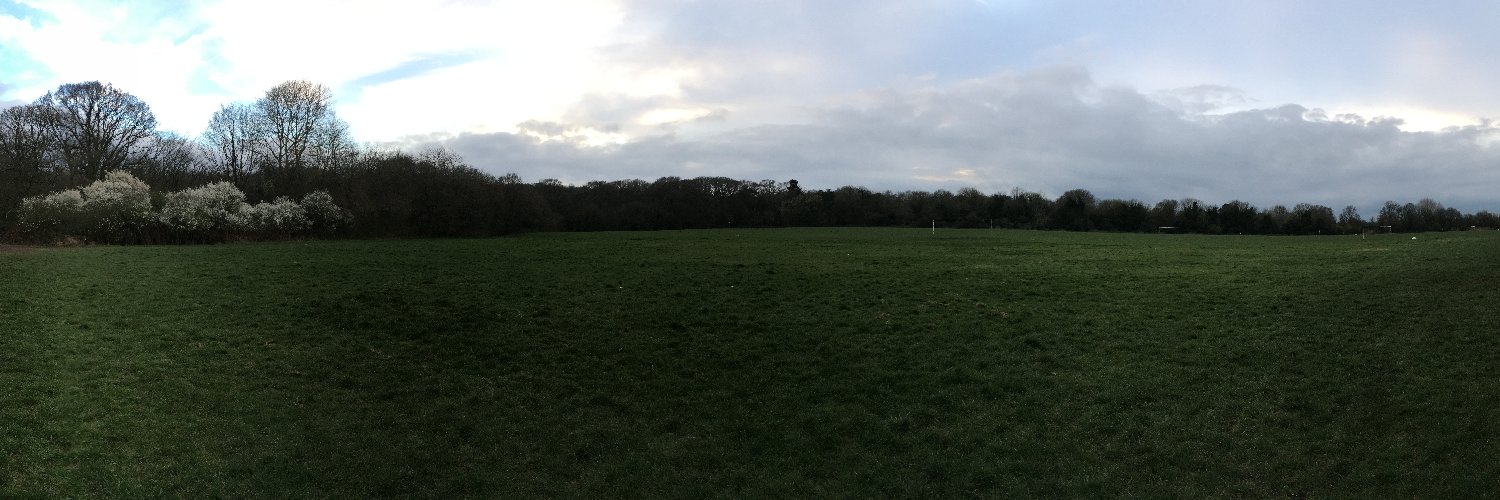 Snow Monkey And Bee banner