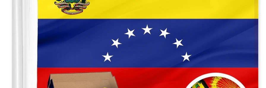 Freedom Warrior banner