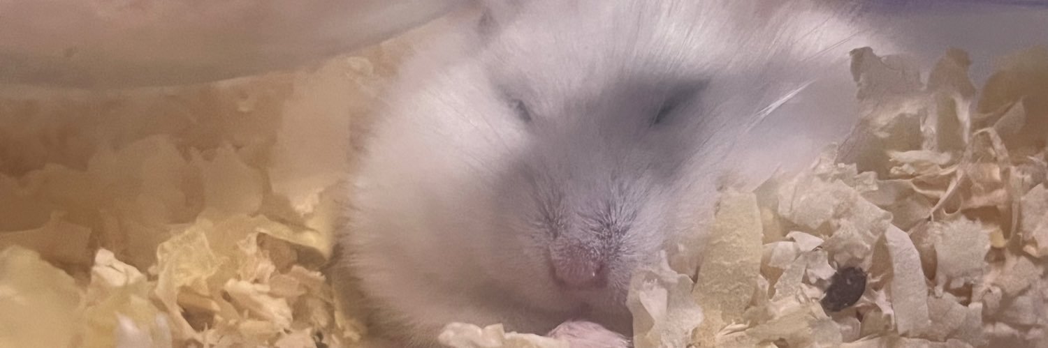 あかほつほつ banner