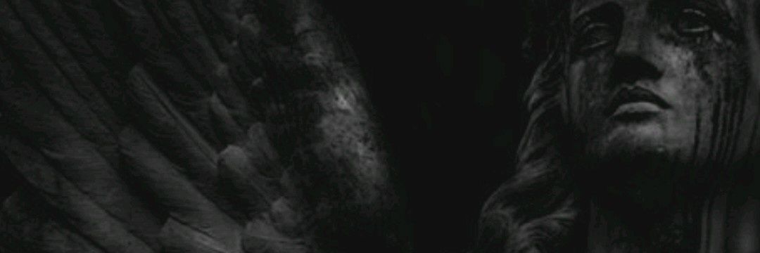 Notdanielgtz's profile banner image