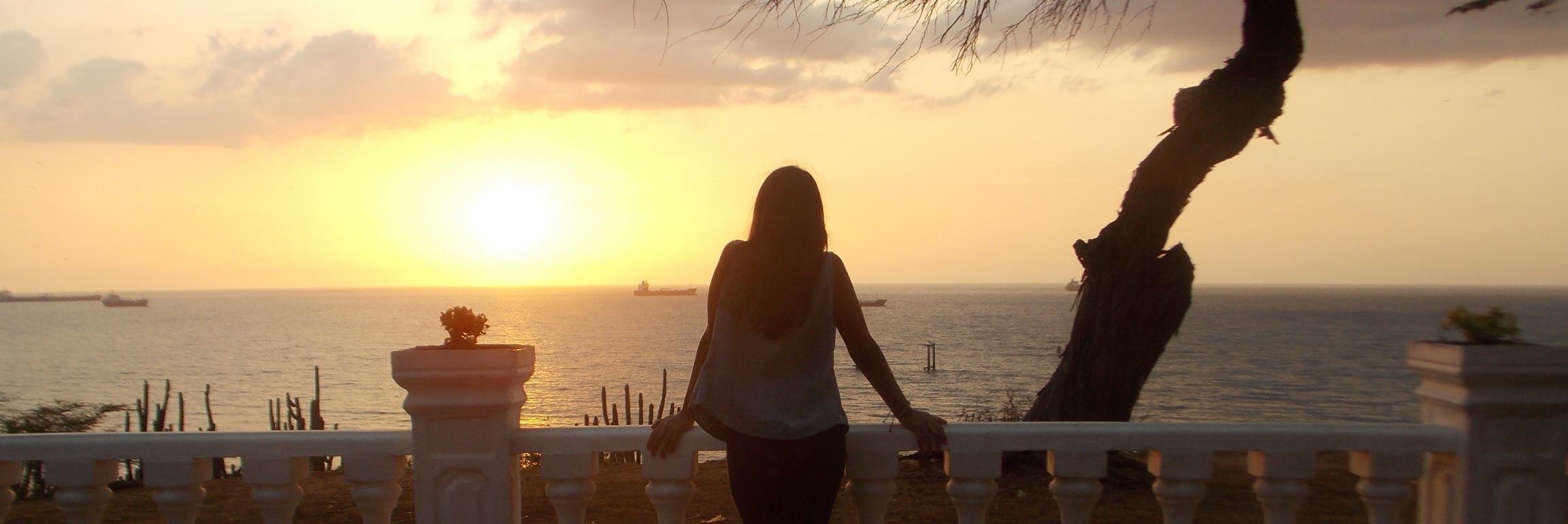 anahisconH's profile banner image