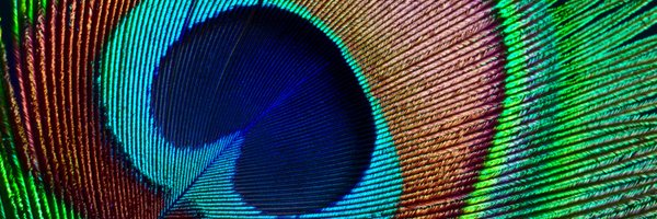 UCLLifeSciences Profile Banner