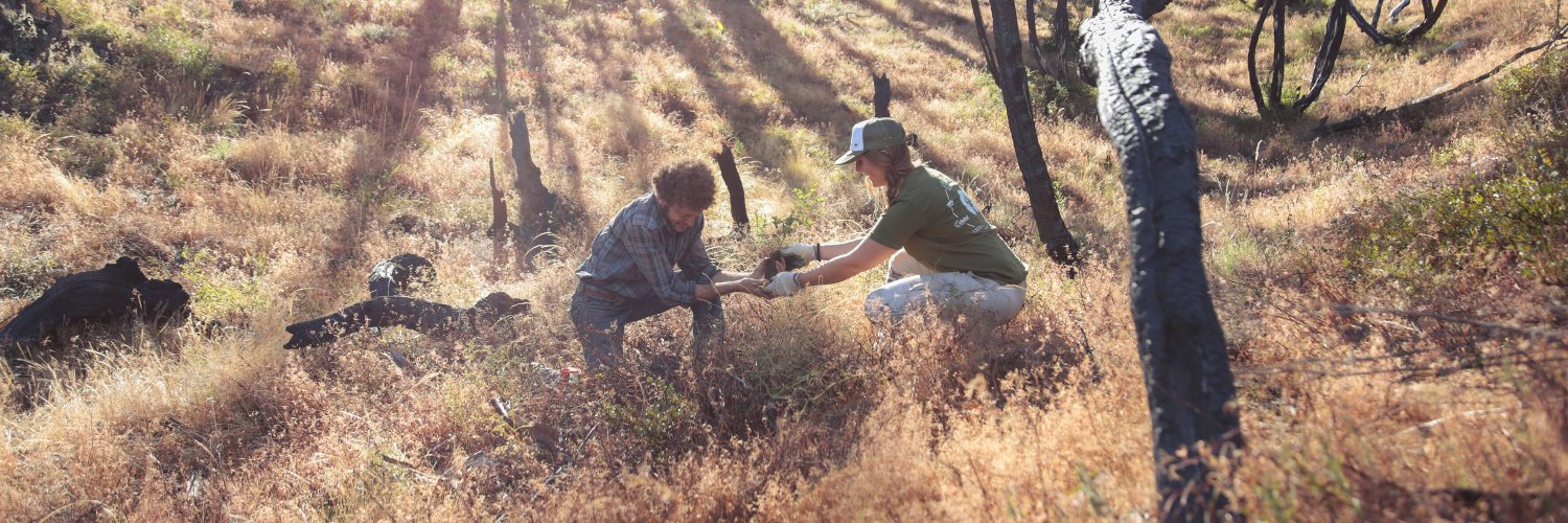 ReforestArg banner