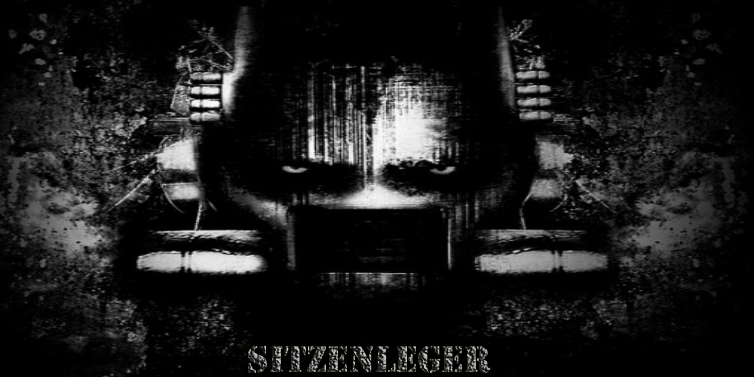 Sitzenleger's profile banner image