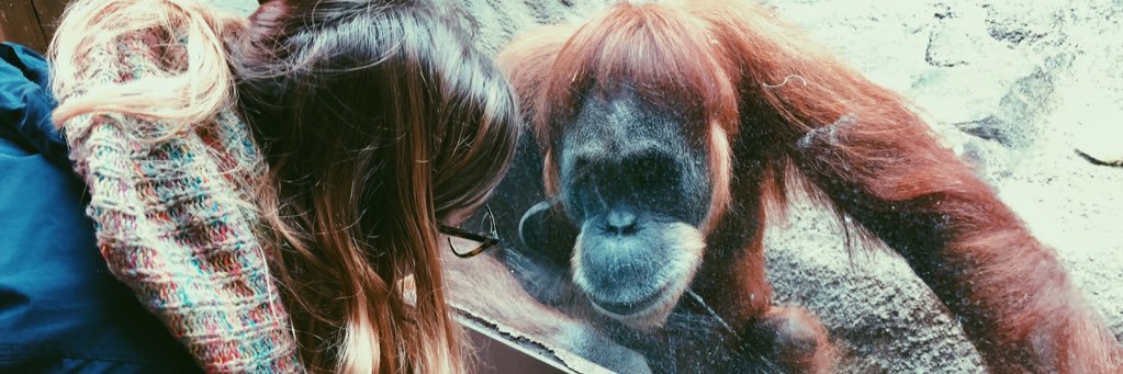 BeckyLiVigni's profile banner image