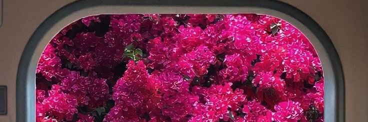 Mila107's profile banner image