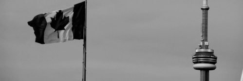 rpizzarro's profile banner image