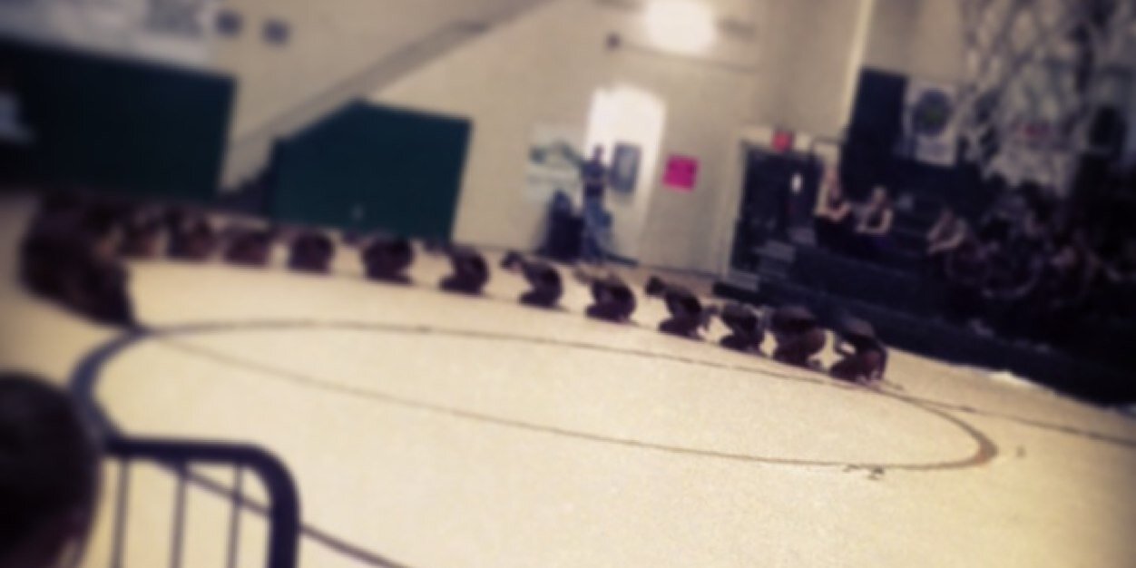 Brianna Nicole Johns banner