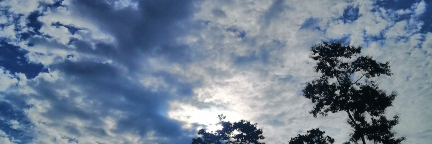 DarkSlayer_DS's profile banner image