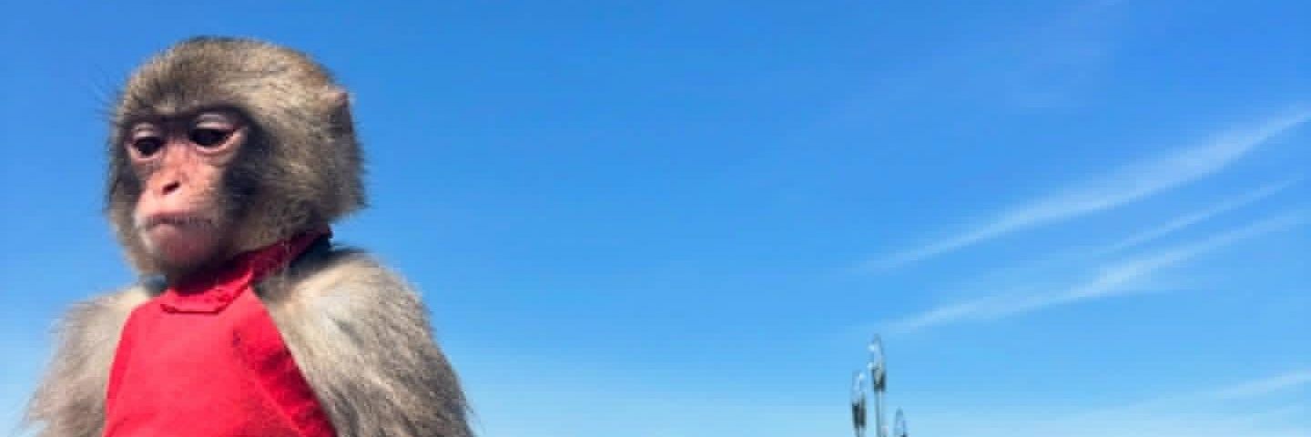 TooGod10's profile banner image