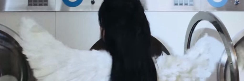 bunny 🪷 banner