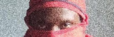 Xfest. 🔞 banner