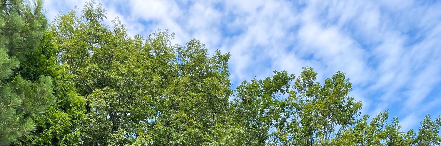 HeydeeOH's profile banner image