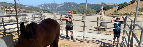 healthyabnormal Profile Banner