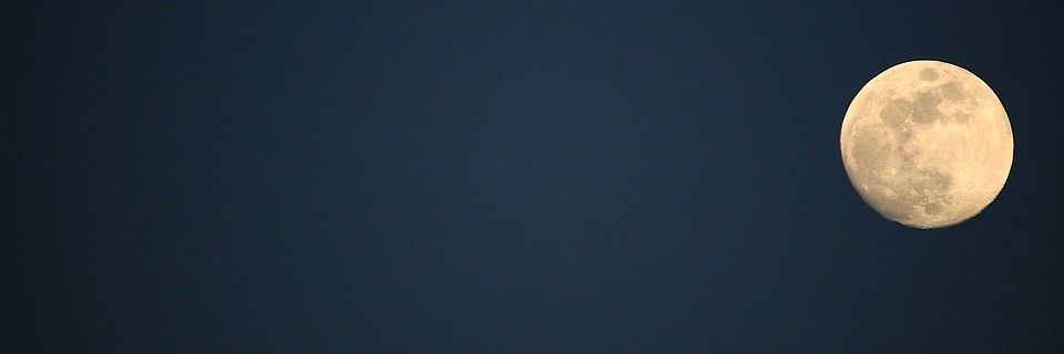 Scofield's banner