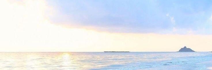 Ni8SandNatt's profile banner image