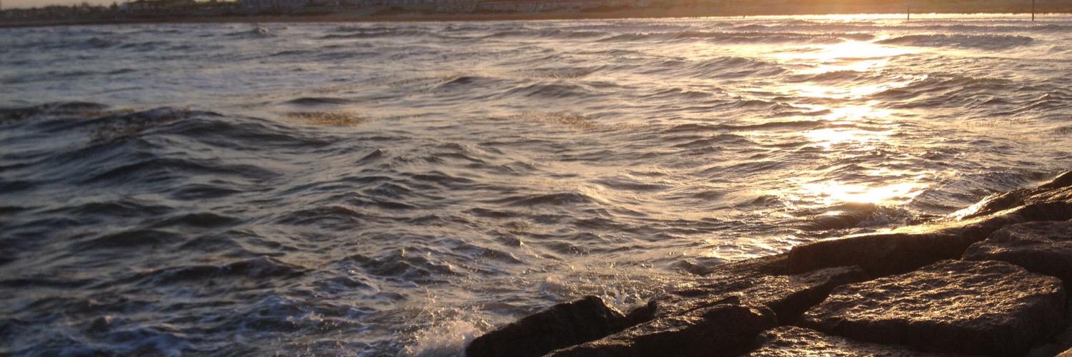 ahitefield's profile banner image