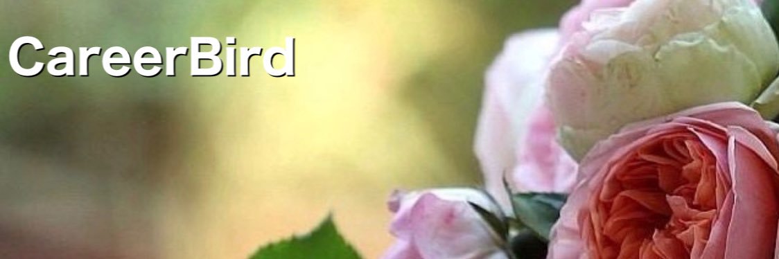 BirdCareer's profile banner image