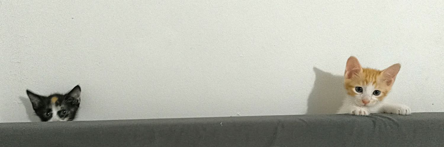 _xspiel's profile banner image