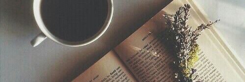 SoftasSteele's profile banner image
