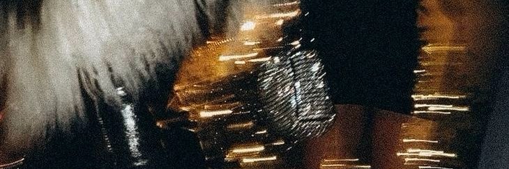sofia ✶ banner