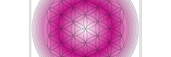 karljacobs Profile Banner