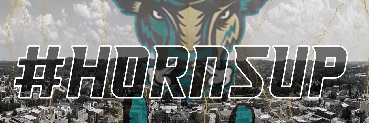 Ohio Bison Baseball & Softball banner