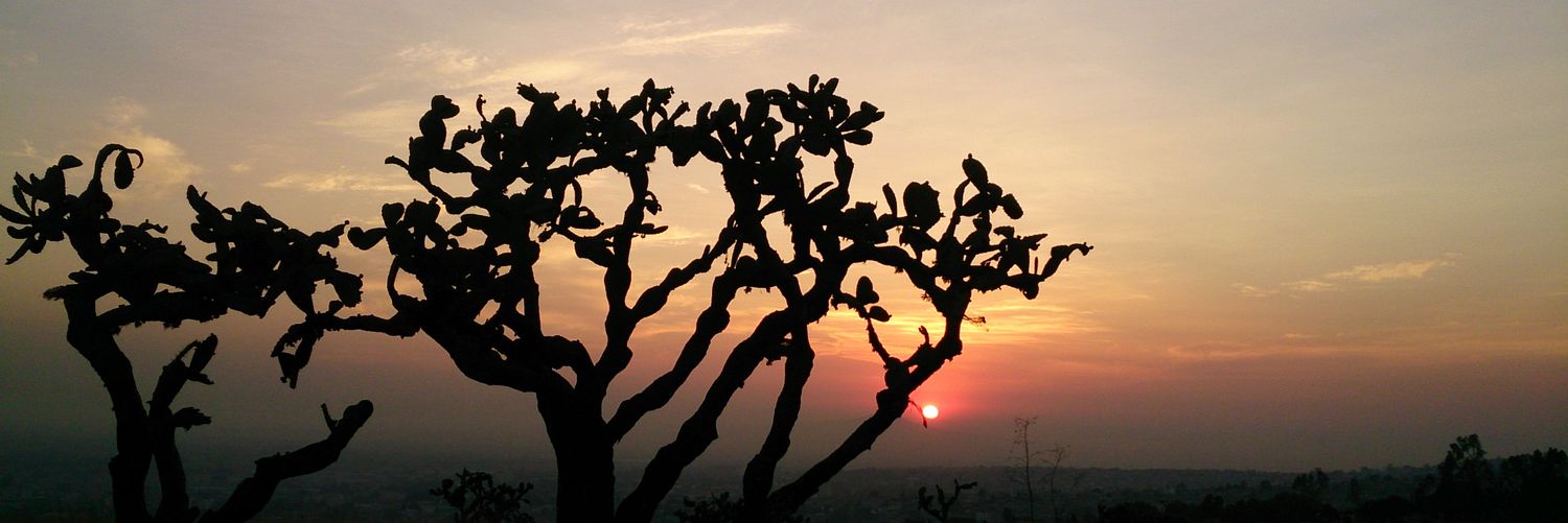 DanielMtzAyala's profile banner image