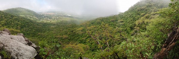 Firubolis Profile Banner