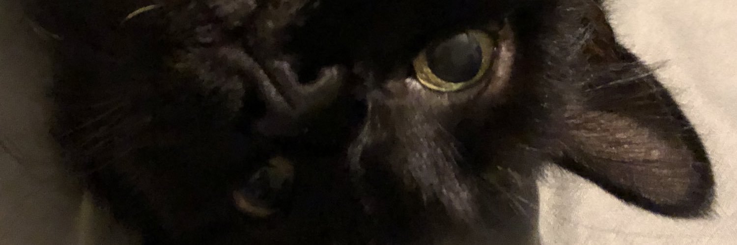 Dess_Ibarra's profile banner image