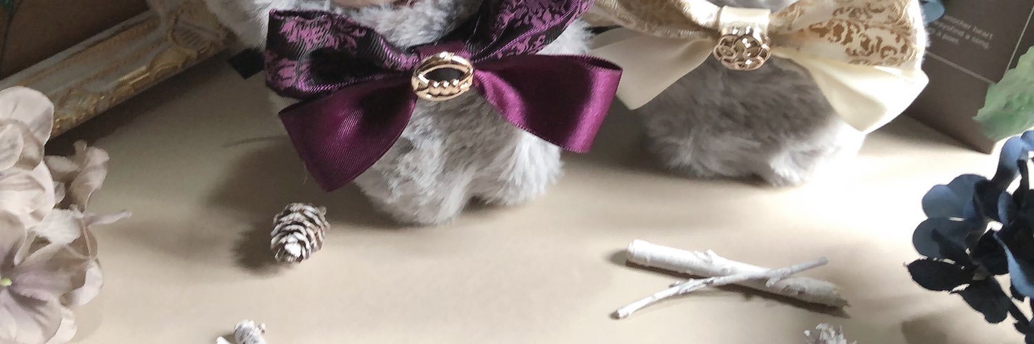 Chiceruxx's profile banner image