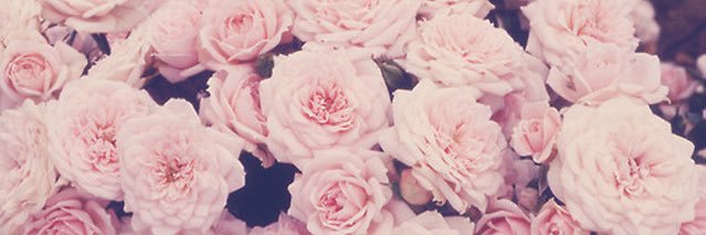 anechka_bonya's profile banner image