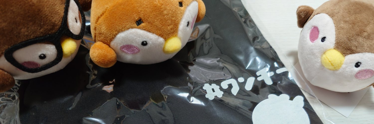 soraneko021's profile banner image