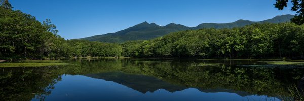 sp9611 Profile Banner