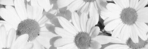 aliwalker12's profile banner image